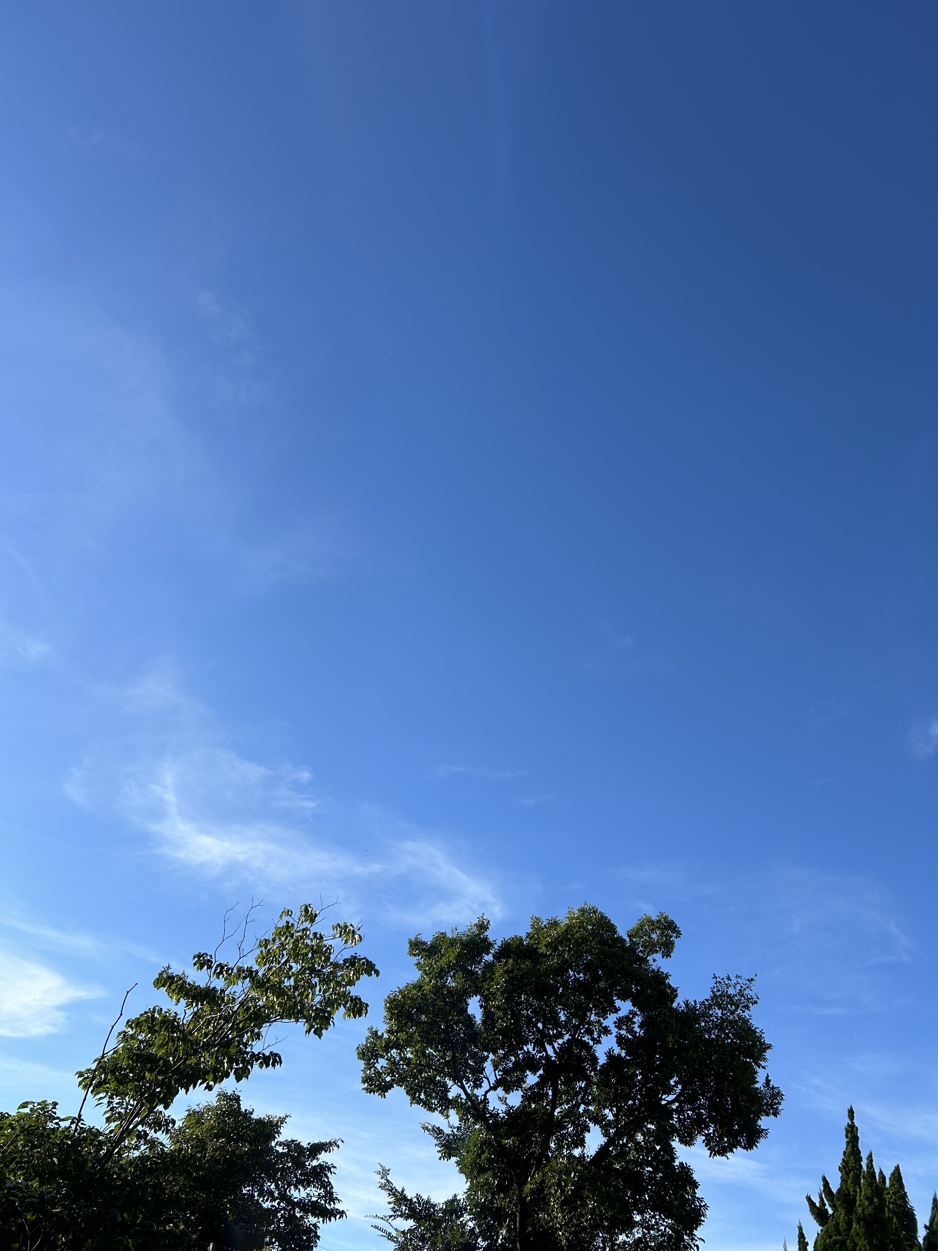 202409020空