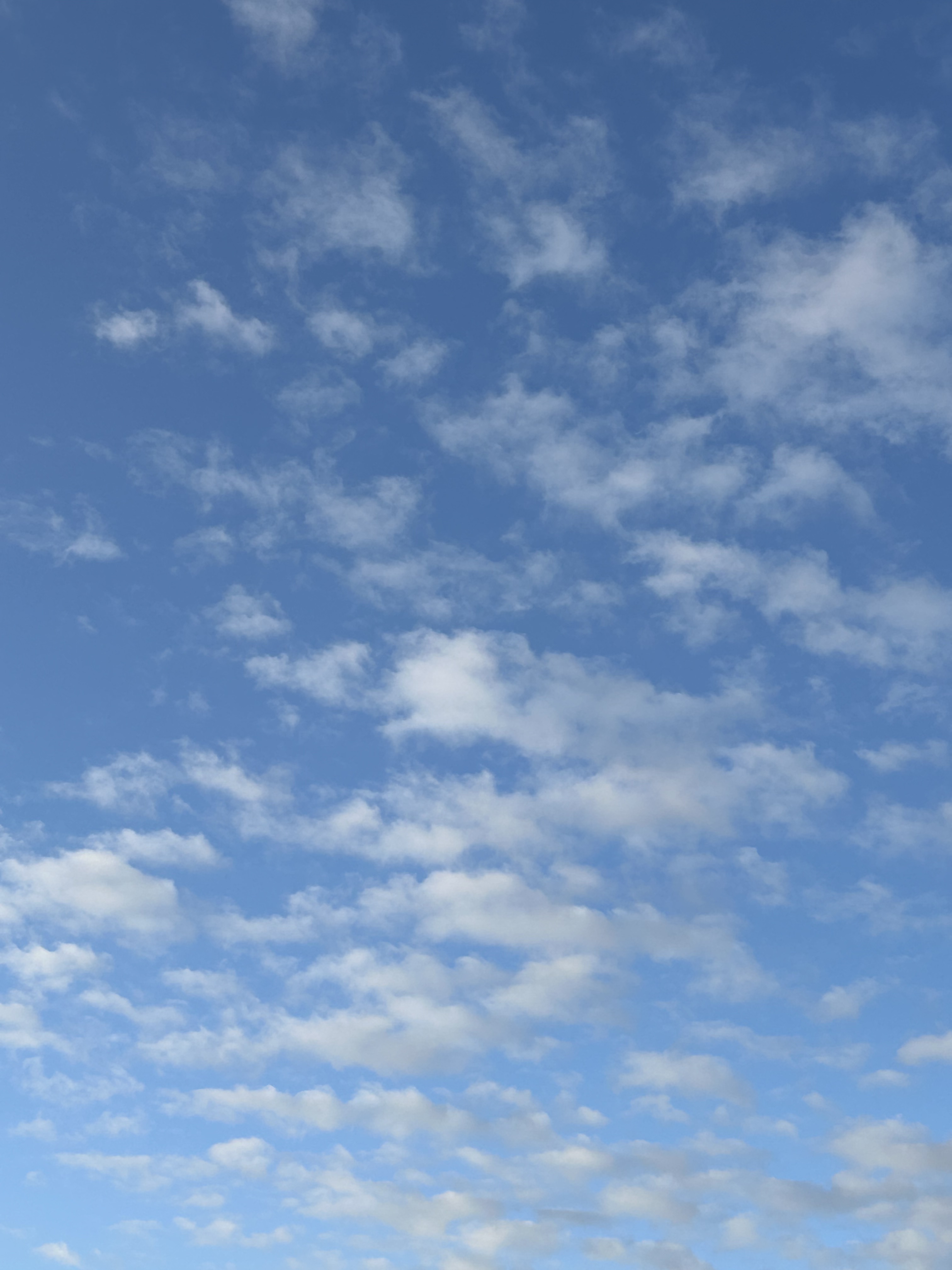 20241021空