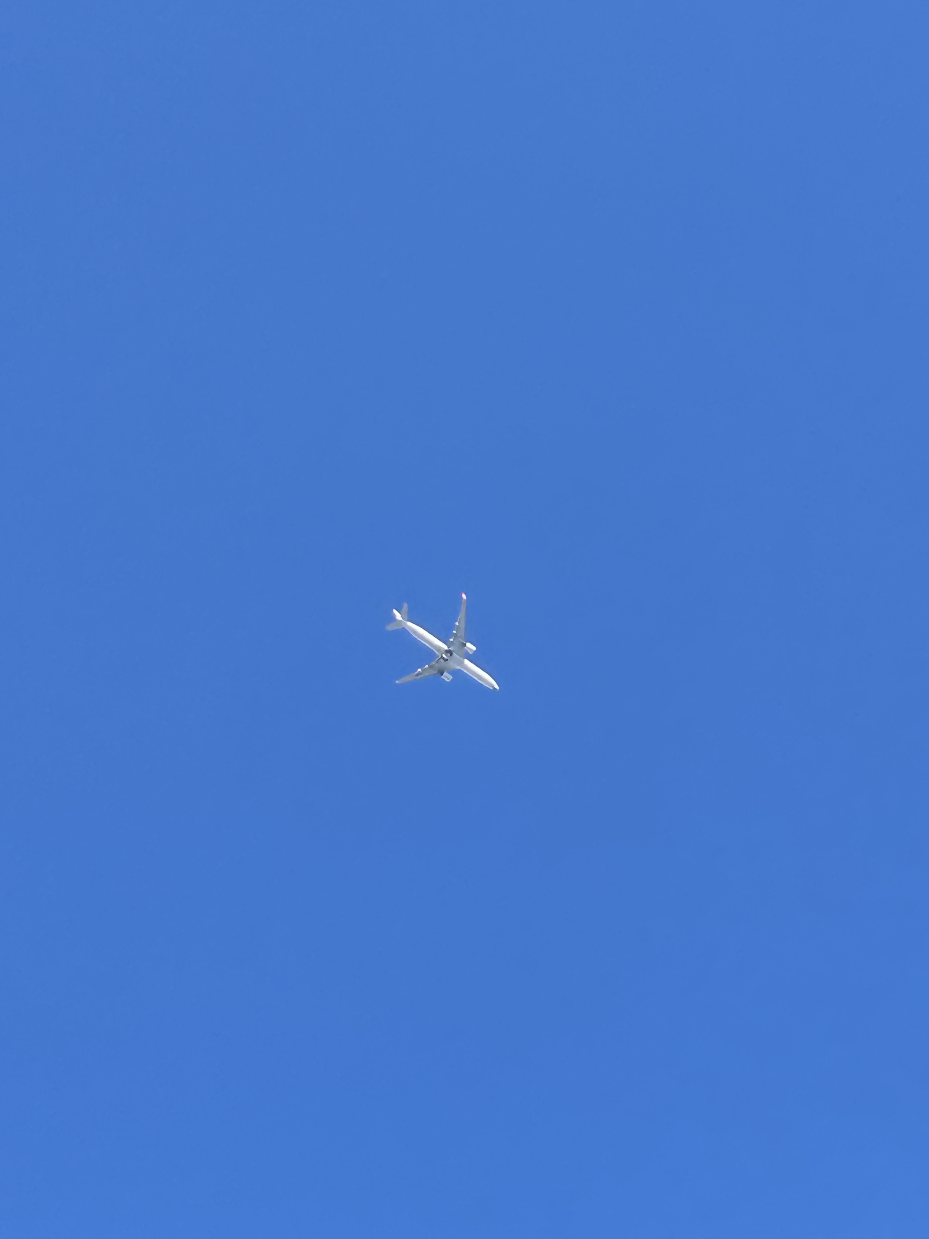 2025.0808