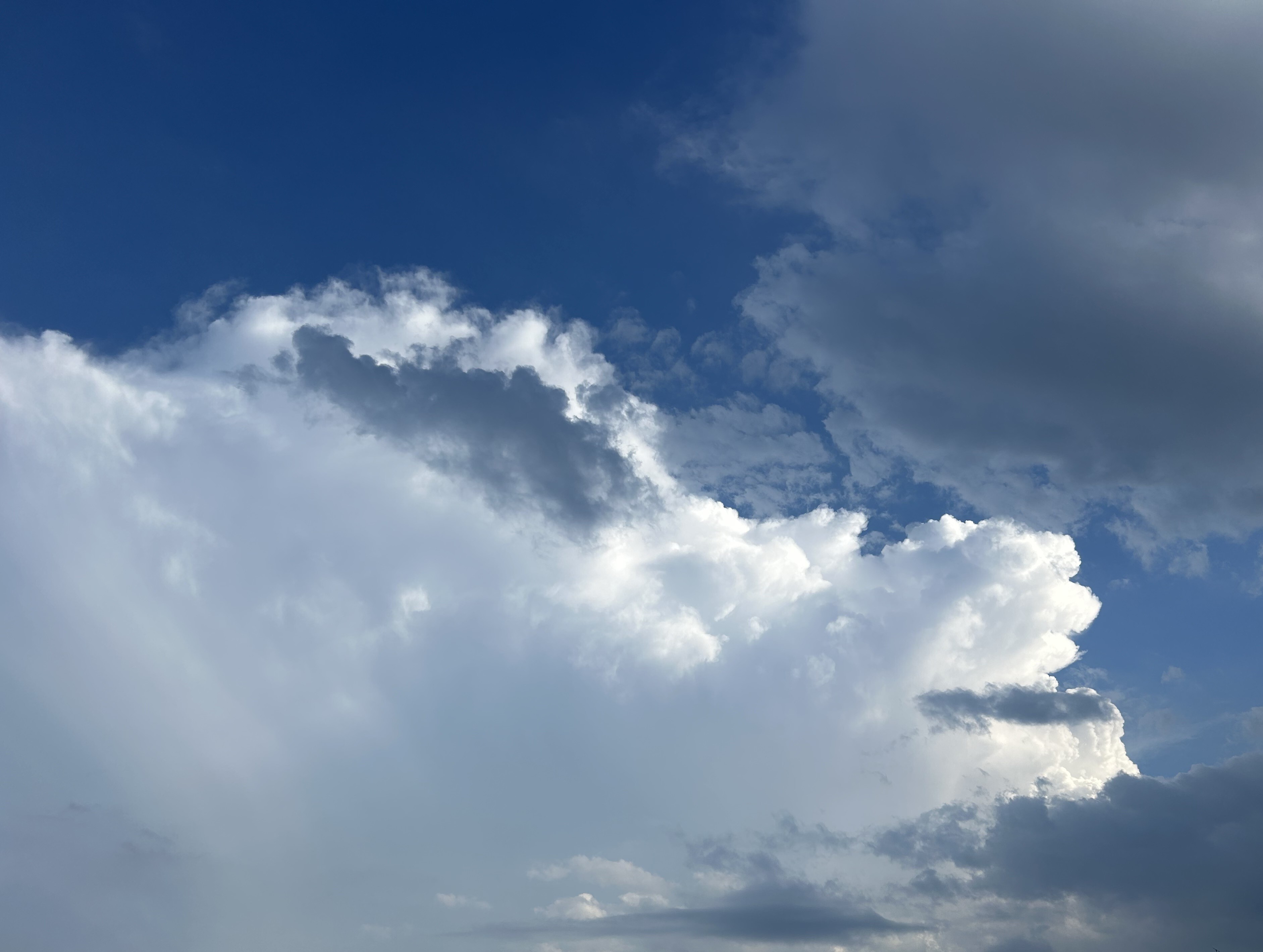 2026.0806　雲