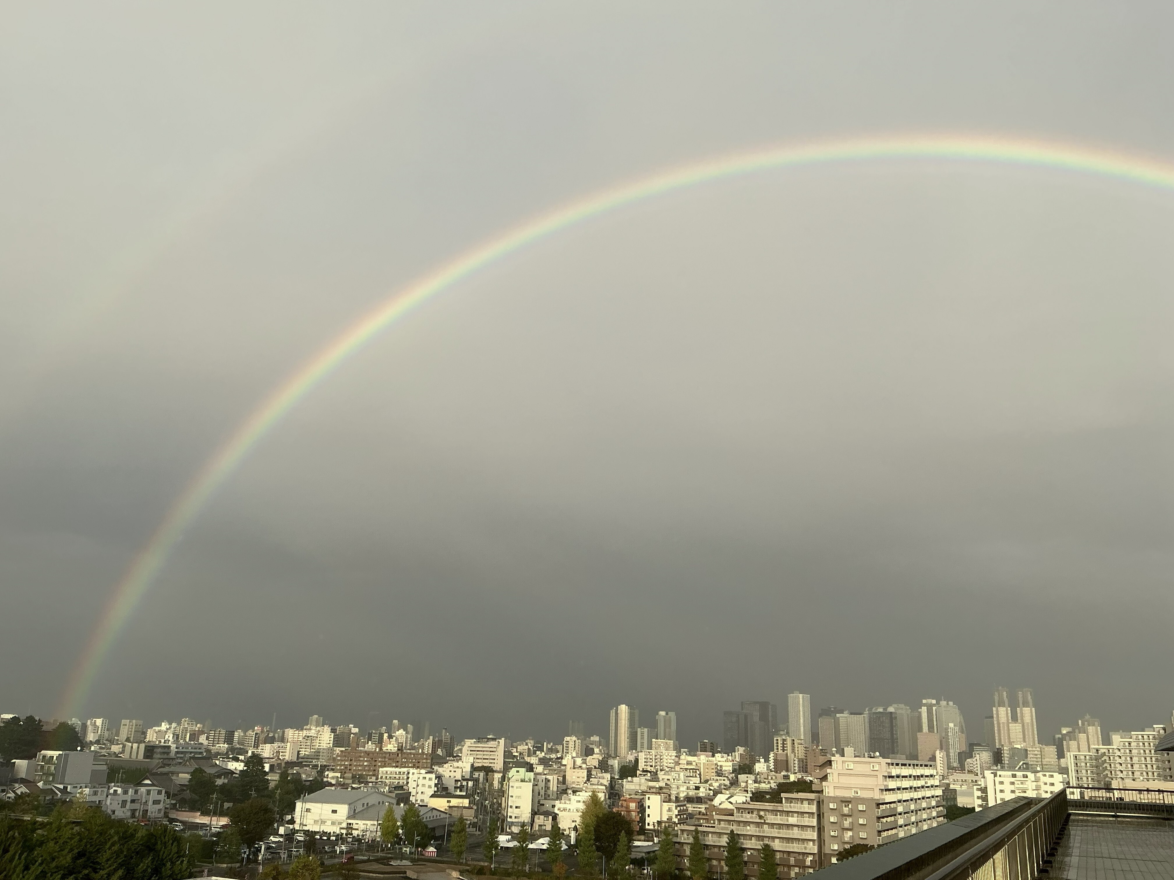 2026.1014　虹